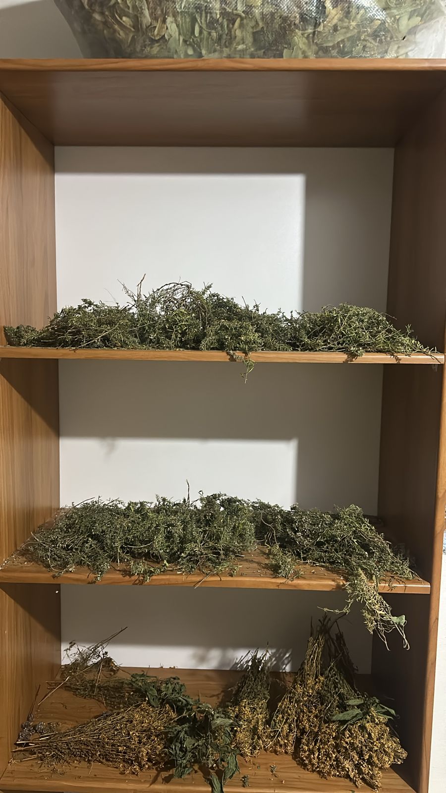 Project “Thyme Drying Facility” – A Green Model for Sustainable Rural Economy