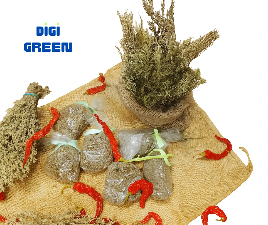 The Power of Aromatic Organic Medicinal Plants